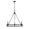 Z-Lite Dennison 6 Light Chandelier, Matte Black 4005-6MB - alternate 3